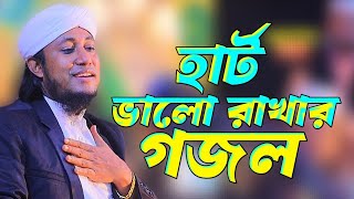 হার্ট ভালো রাখার গজল তাহেরি।GasUddin Taheri New Gojol [upl. by Daveta241]