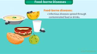 Food borne Diseases  HPE  Animated Video [upl. by Llertram]