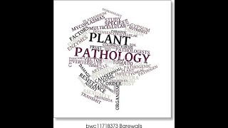 Causes of Plant diseases Virus viroid algal phanerogamic parasites abiotic disorders in Tamil [upl. by Eniawtna]