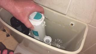 Easy Fix For The Most Common Toilet Water Leak [upl. by Htidirem]