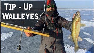 Catching TONS of First Ice Walleyes On TIPUPS [upl. by Livi]