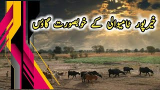 Khairpur tamewali Beautiful Village Life In Pakistan [upl. by Odrarej]