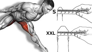 ➜ SHRINK Your ENLARGED PROSTATE With These 6 Exercises [upl. by Schaab]