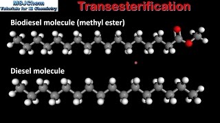 C4 Transesterification SL [upl. by Ecinreb]