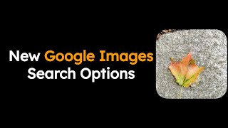 New Google Image Search Options [upl. by Sky]