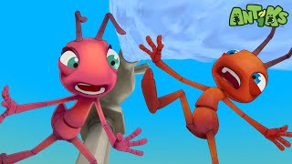 All Dried Up  Antiks 🐜  Funny Cartoons for Kids [upl. by Shanly]