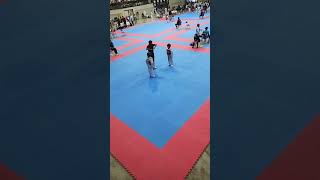 Copa tae poong taekwondo 🥋👊artesmarciales taekwondokicks [upl. by Zemaj]