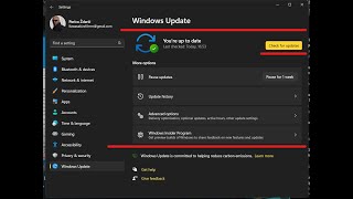 Fixed Windows 11 Update Service and WUAUSERV Registry Missing [upl. by Eilarol]