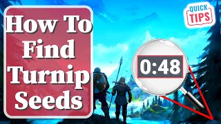 Valheim  How To Find Turnip Seeds [upl. by Bonn]