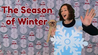 The Season of Winter Lesson For Kids [upl. by Haskins]