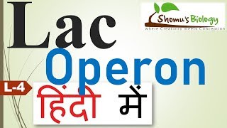 Lac operon in Hindi [upl. by Nodlehs989]