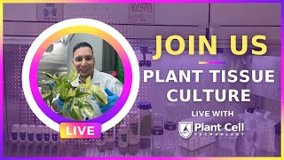 LIVE Plant Tissue Culture Subculturing with Francisco [upl. by Ciardap]