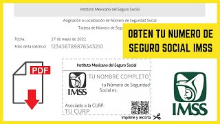 Cómo OBTENER mi NSS Número de Seguro Social RÁPIDO Y SIN FILAS  IMSS 2021 TARJETA de NSS [upl. by Breeze]