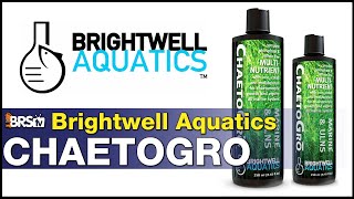 Brightwell Aquatics ChaetoGro Its fertilizer for your chaeto refugium Simple [upl. by Kiel]