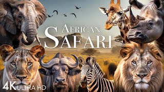 African Safari 4K  Amazing Wildlife of African Savanna  Scenic Relaxation Film [upl. by Esnohpla]