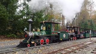 Tolt River Railroad at Remlinger Farms [upl. by Adiari840]