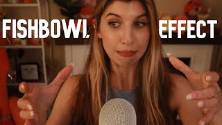 I finally tried the Fishbowl Effect ASMR [upl. by Edie]