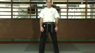 ceinture jaune programme krav maga [upl. by Curry542]