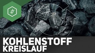 Kohlenstoffkreislauf – Stoffkreisläufe 3 [upl. by Elletsyrk37]