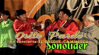 OSITO PARDO EN VIVOEL BOSQUE CAJAMARCA MIX 1 Official Youtube [upl. by Ecilayram]