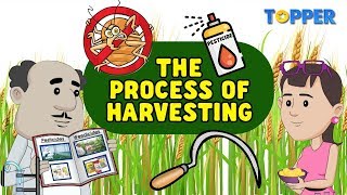 Process and Methods of Harvesting  Crop Protection  Class 8th [upl. by Zephaniah85]