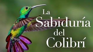 LA SABIDURIA DEL COLIBRÍ [upl. by Sinnylg]