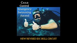 CESACONTROLLED EMERGENCY SWIMMING ASCEND PADI SKILL CIRCUIT FOR DIVEMASTER OR IDC COURSES [upl. by Backer]