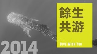 紀錄觀點【餘生共游】│台灣曾是少數獵捕鯨鯊的國家 從食用到觀賞都一種生命剝奪 │導演柯金源 [upl. by Cedar662]