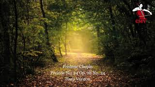 Frederic Chopin  Prelude No 24 Op 28 No 24  Harp Version [upl. by Seidule]