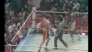 Muhammad Ali vs Chuck Wepner Round 15 final round 1975 [upl. by Narbig383]