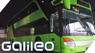 Flixbus  Wie wurde das Startup so erfolgreich  Galileo  ProSieben [upl. by Annirak622]