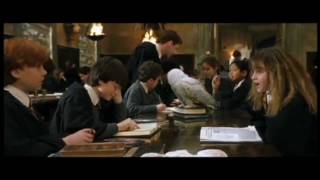 Best Ron and Hermione Scenes 17 Part 1 [upl. by Nyltiac]