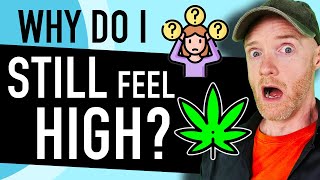 Is Your Weed Hangover Really Depersonalization Disorder [upl. by Bower729]