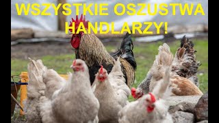 Odcinek 1483 PODSUMOWANIE WSZYSTKICH OSZUSTW HANDLARZY PRZY ZAKUPIE KUR [upl. by Aiekahs]