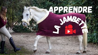 TUTO  Comment apprendre la jambette à son cheval [upl. by Raddy]