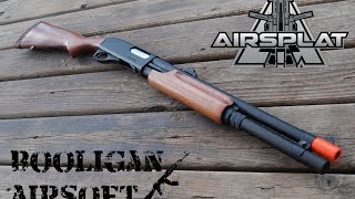 APS CAM870 CO2 Shotgun Overview and Shooting Test [upl. by Niehaus]