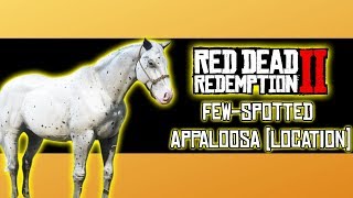 Few Spotted Appaloosa Wild Horse Location  Red Dead Redemption 2 [upl. by Abba]