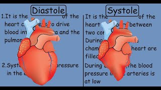 Diastole vs Systole  Human Heart [upl. by Sisco]