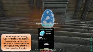 ARK Survival Evolved  Breeding Argentavis tutorial [upl. by Bartlet]