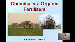 Chemical vs Organic Fertilizers [upl. by Sinnej]