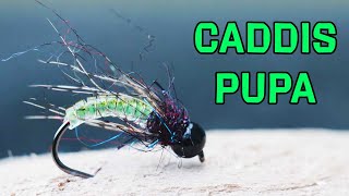 Caddis Pupa Fly Pattern Fly Tying Tutorial [upl. by Timothee798]