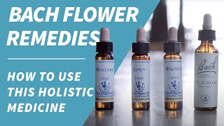 Bach Flower Remedies  How to use this holistic medicine for wellness [upl. by Mordecai]