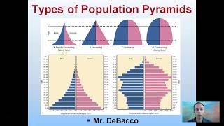 Types of Population Pyramids [upl. by Aniale]