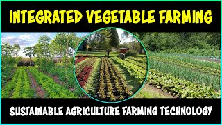 Integrated Vegetable Farming System  Horticulture [upl. by Noreik213]