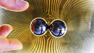 DIY Ferrocell View Magnetic Fields with Ferrofluid  Magnetic Games [upl. by Lerraj16]