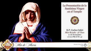 La Misa de Hoy  21Nov2024 [upl. by Hayn]