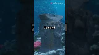 Zealandia The Lost Continent Under Newzealandzealandiahiddenhistoryoceanmysteryscienceearth [upl. by Saberio]