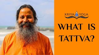 What Is Tattva [upl. by Silohcin]