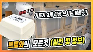 여러대의 기포기를 쓰신다면 브로와로 대체 해볼까 [upl. by Addison47]