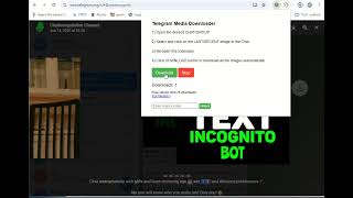 Download all media files from Telegram chatgroupchannel with TG Media Downloader [upl. by Kehr678]